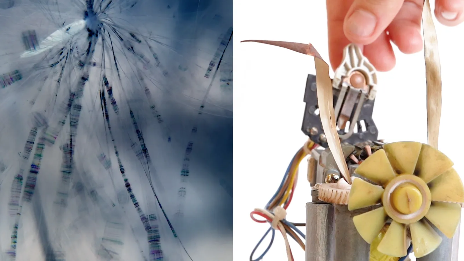 two images side by side, one is a microscopic closeup of a plant and the other is a hand feeding something into machinery