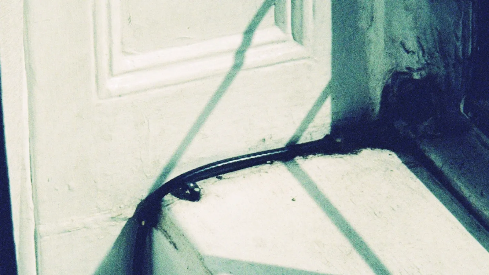 Christopher Stackhouse recent work